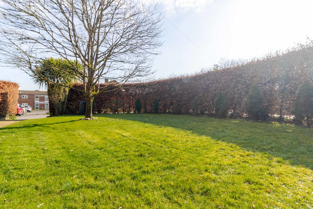 Ivy Mill Lane